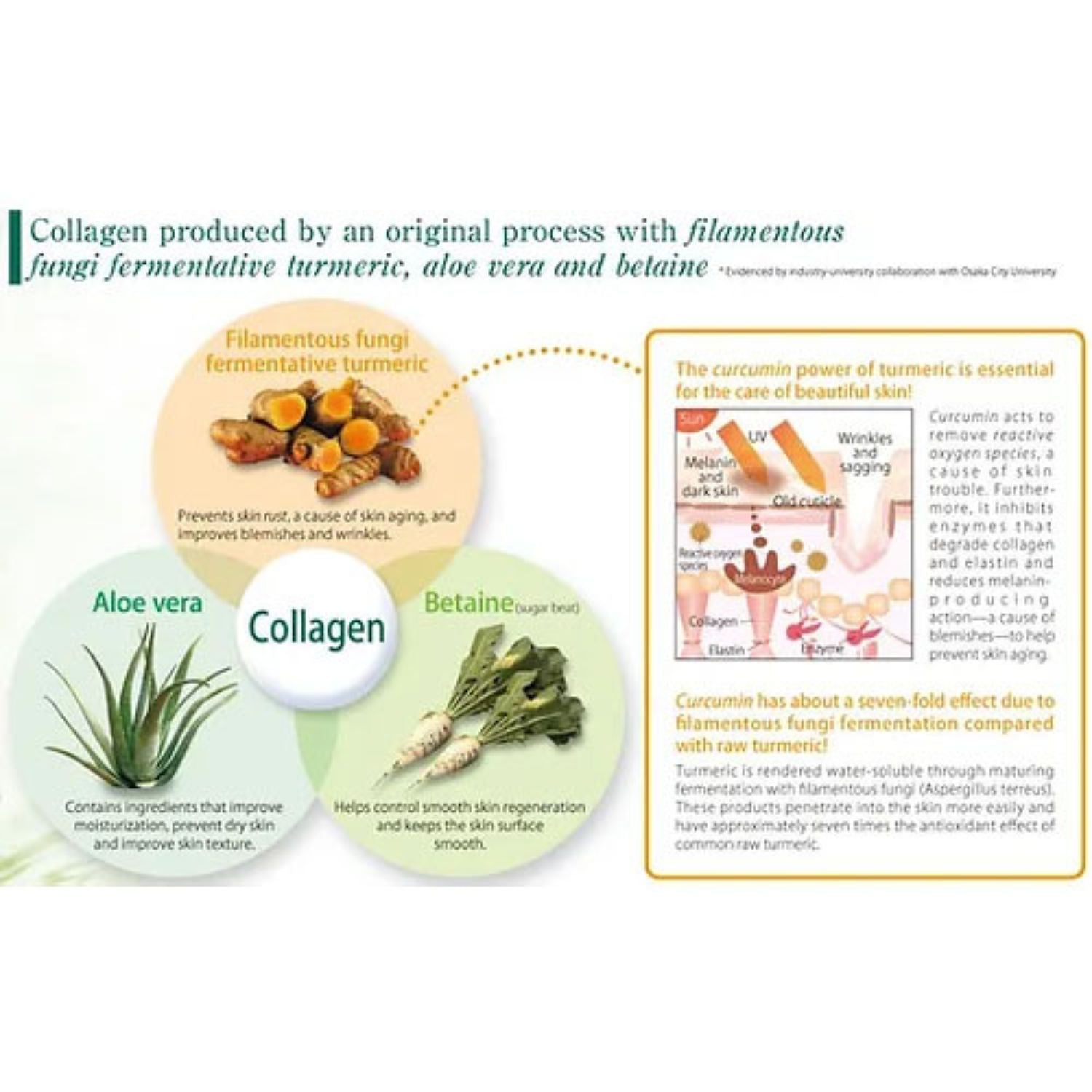 CURCUVERA MOIST CONDITIONER 150ml