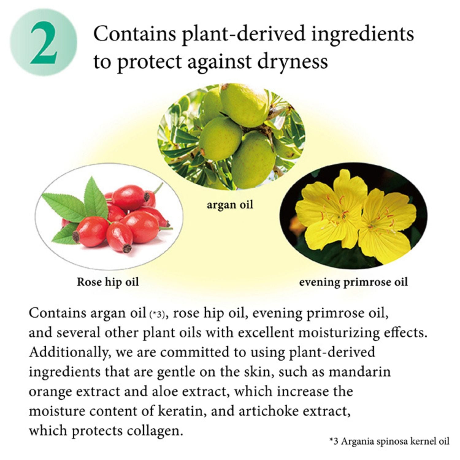 C・C・LABO UV CLEAR FACE POWDER